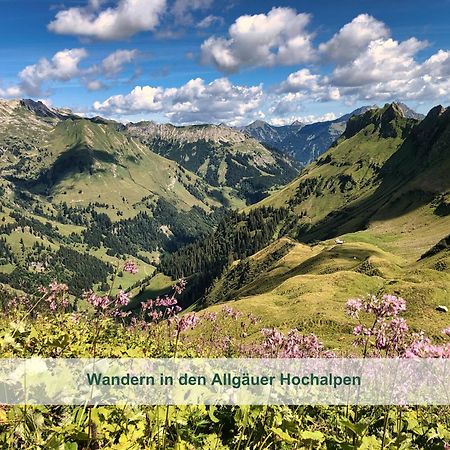 Chalet - Ferienwohnungen - Biohof Stoeger - Panoramasuedbalkon - Grandiose Aussicht Auf See, Berge Und Schloss Neuschwanstein Rieden Buitenkant foto