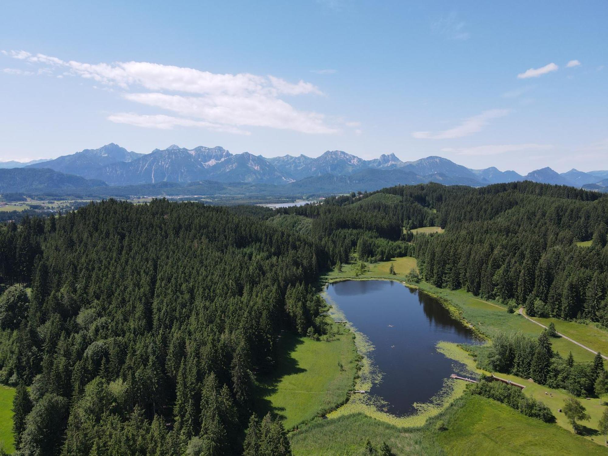 Chalet - Ferienwohnungen - Biohof Stoeger - Panoramasuedbalkon - Grandiose Aussicht Auf See, Berge Und Schloss Neuschwanstein Rieden Buitenkant foto