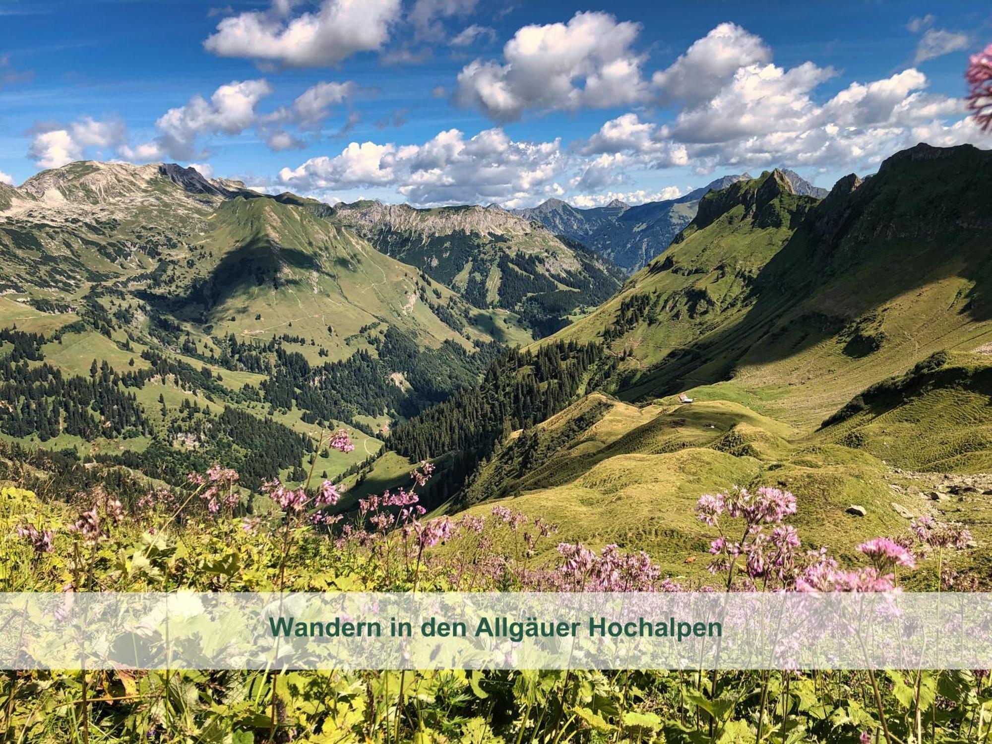 Chalet - Ferienwohnungen - Biohof Stoeger - Panoramasuedbalkon - Grandiose Aussicht Auf See, Berge Und Schloss Neuschwanstein Rieden Buitenkant foto