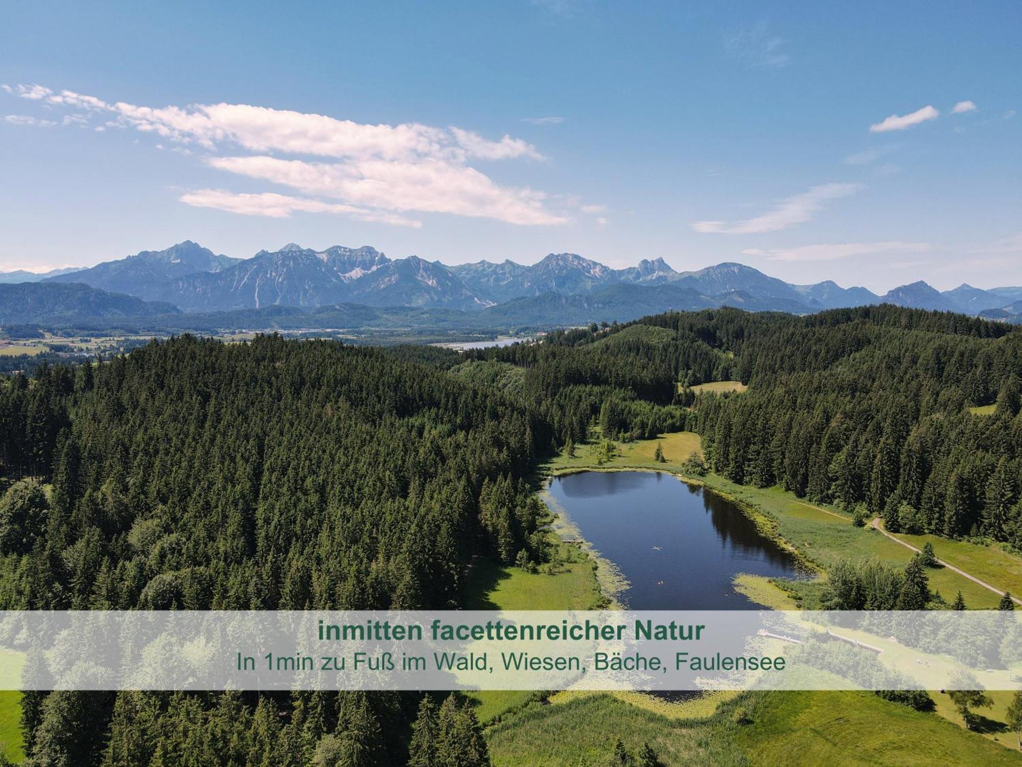 Chalet - Ferienwohnungen - Biohof Stoeger - Panoramasuedbalkon - Grandiose Aussicht Auf See, Berge Und Schloss Neuschwanstein Rieden Buitenkant foto