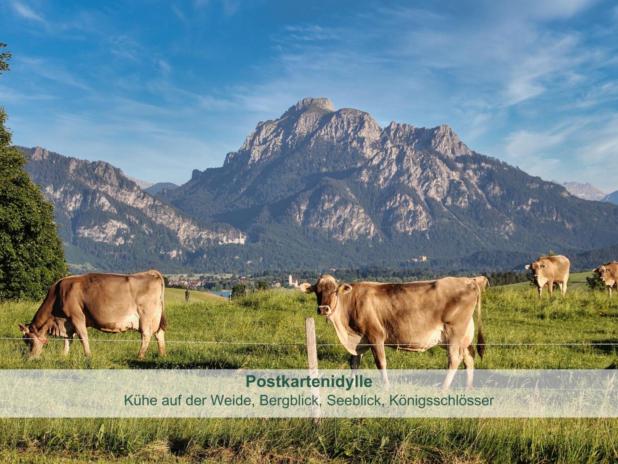 Chalet - Ferienwohnungen - Biohof Stoeger - Panoramasuedbalkon - Grandiose Aussicht Auf See, Berge Und Schloss Neuschwanstein Rieden Buitenkant foto