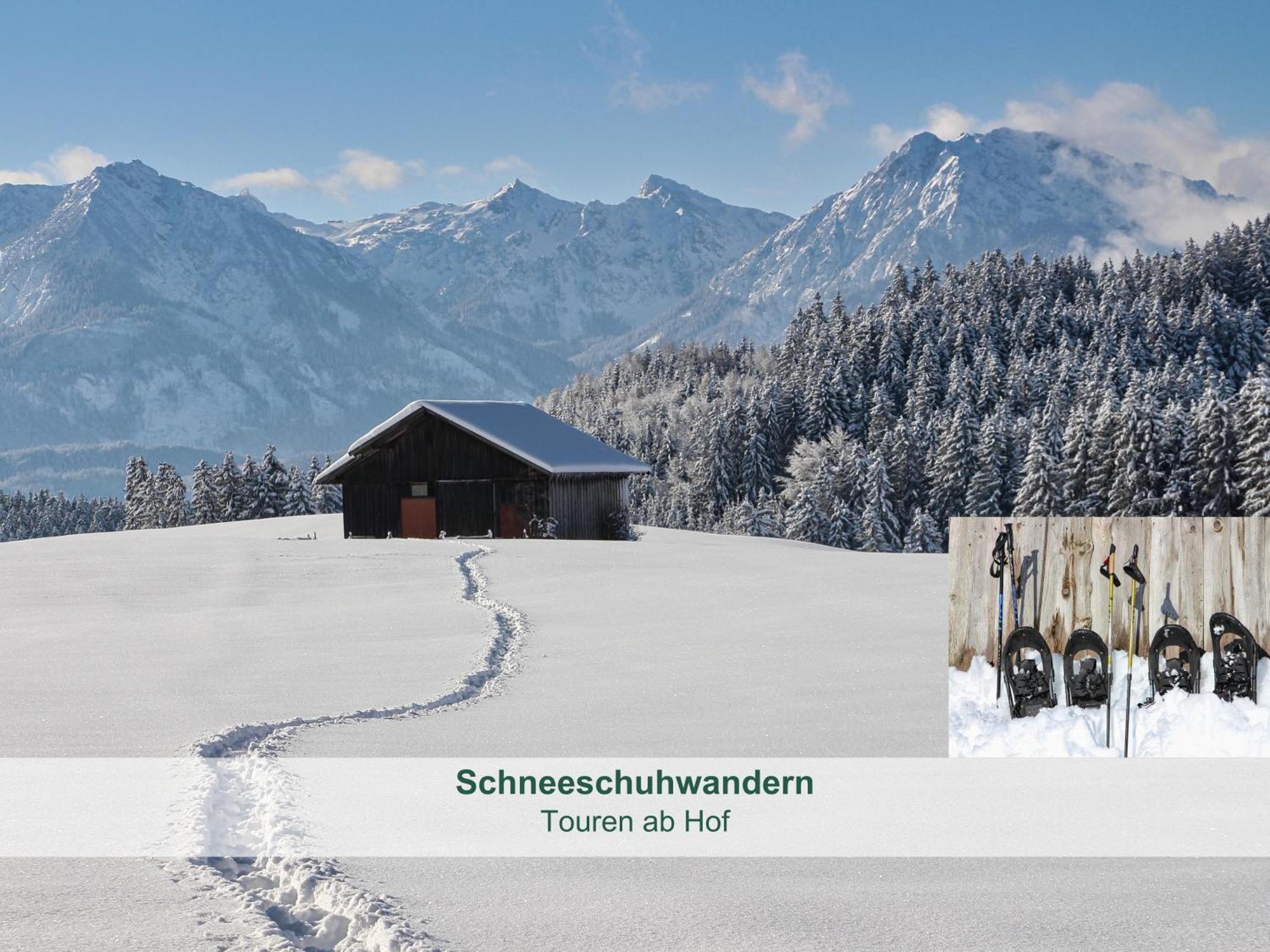 Chalet - Ferienwohnungen - Biohof Stoeger - Panoramasuedbalkon - Grandiose Aussicht Auf See, Berge Und Schloss Neuschwanstein Rieden Buitenkant foto