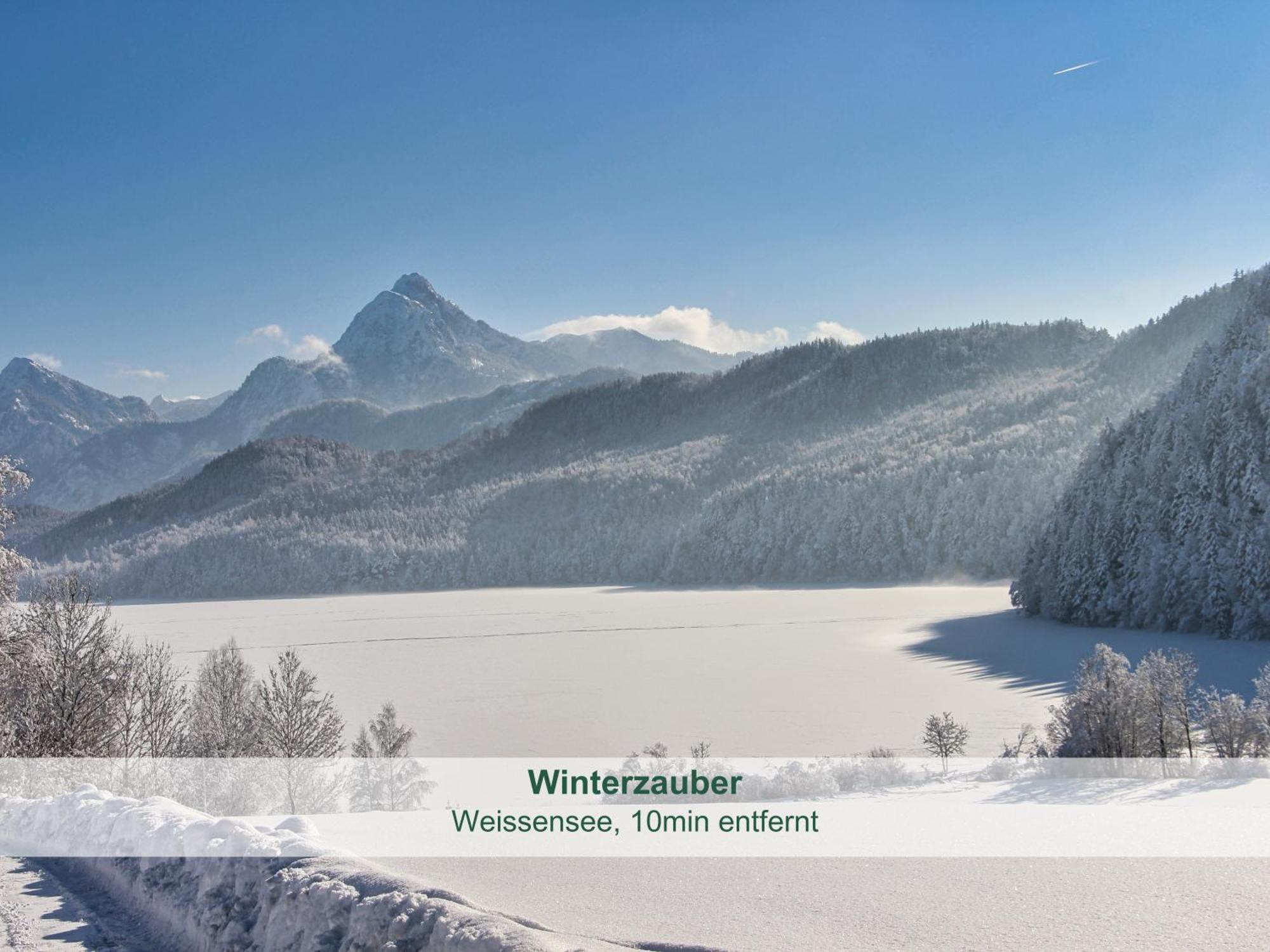 Chalet - Ferienwohnungen - Biohof Stoeger - Panoramasuedbalkon - Grandiose Aussicht Auf See, Berge Und Schloss Neuschwanstein Rieden Buitenkant foto