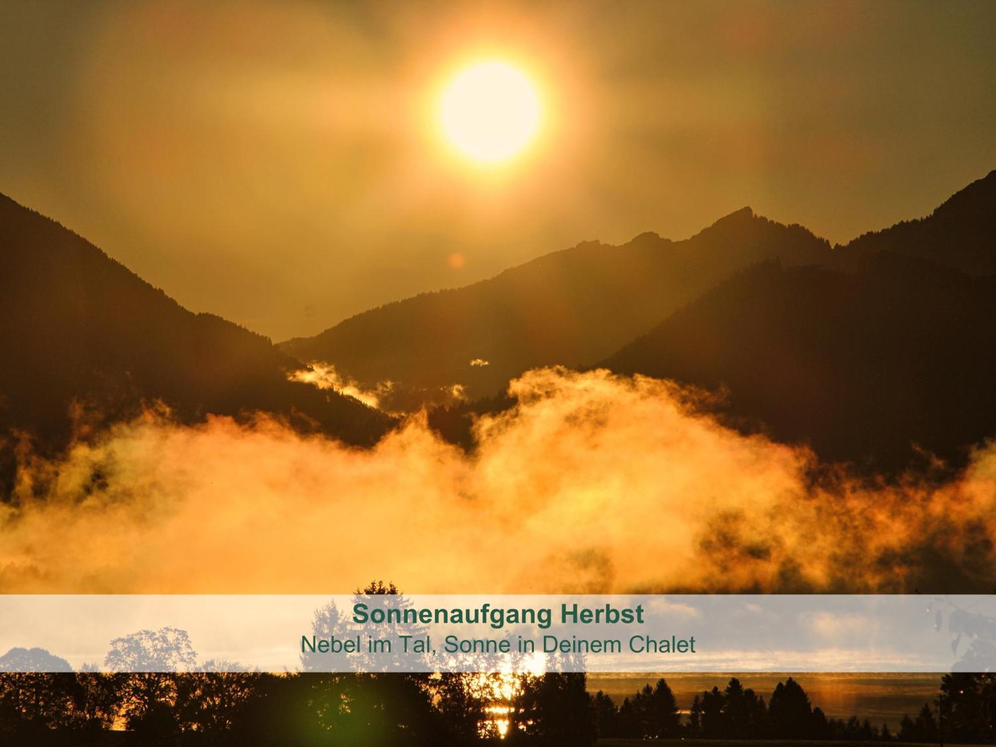 Chalet - Ferienwohnungen - Biohof Stoeger - Panoramasuedbalkon - Grandiose Aussicht Auf See, Berge Und Schloss Neuschwanstein Rieden Buitenkant foto